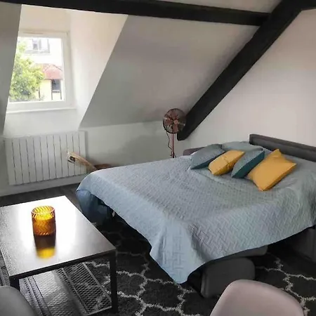 Stay Near The Magic 4 Persons Apartment, 1 -Minute Walk To Colmar Christmas Market! Exterior photo
