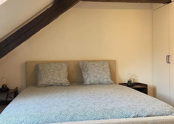 Stay Near The Magic 4 Persons Apartment, 1 -Minute Walk To Colmar Christmas Market!